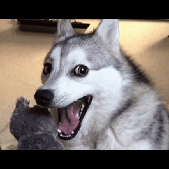 Meet your Posher, Rachael - Picture 1 of 1